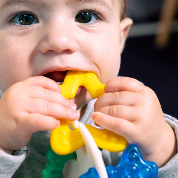 Фото - Прорізувач Baby Einstein Sea of Sensory (13158)