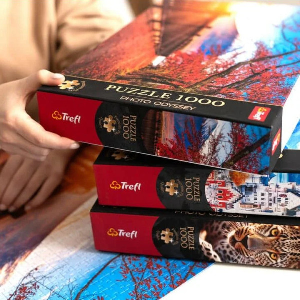 Фото - Пазлы (8+) Trefl Premium Гора Фудзи, Япония 1000 эл. (08170)