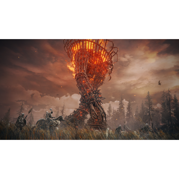 Фото - Игровой диск PS5 Elden Ring Shadow of the Erdtree Edition