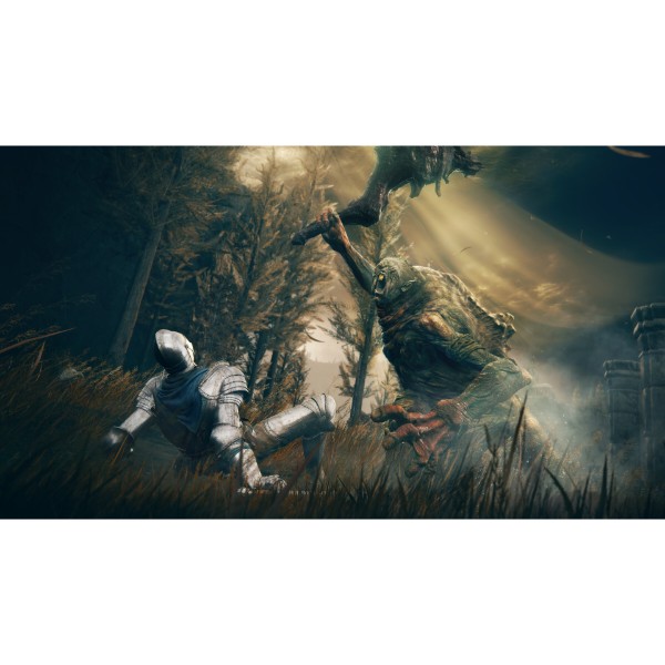 Фото - Ігровий диск PS5 Elden Ring Shadow of the Erdtree Edition