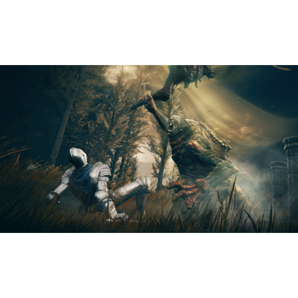 Фото - Игровой диск PS5 Elden Ring Shadow of the Erdtree Edition