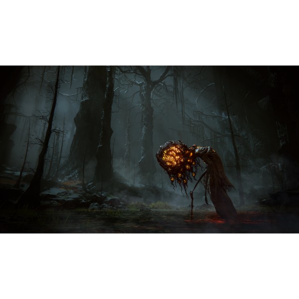 Фото - Ігровий диск PS5 Elden Ring Shadow of the Erdtree Edition