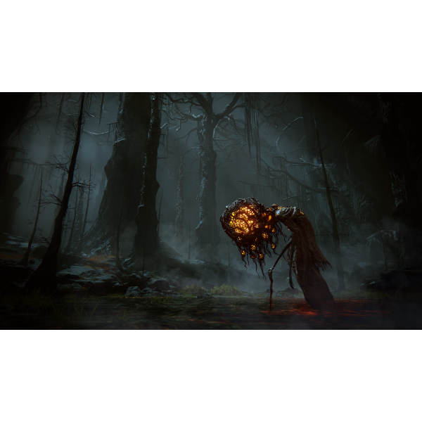 Фото - Игровой диск PS5 Elden Ring Shadow of the Erdtree Edition