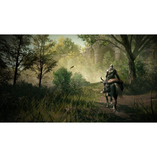 Фото - Ігровий диск PS5 Elden Ring Shadow of the Erdtree Edition