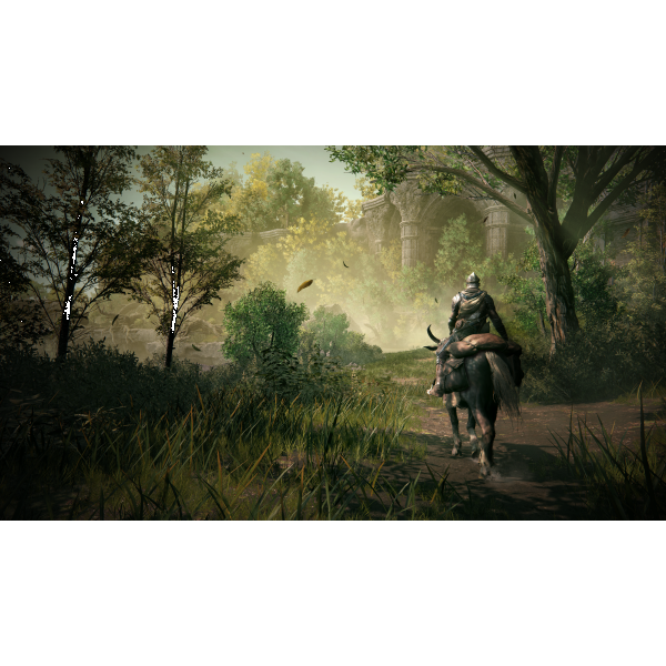 Фото - Игровой диск PS5 Elden Ring Shadow of the Erdtree Edition