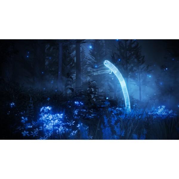 Фото - Ігровий диск PS5 Elden Ring Shadow of the Erdtree Edition