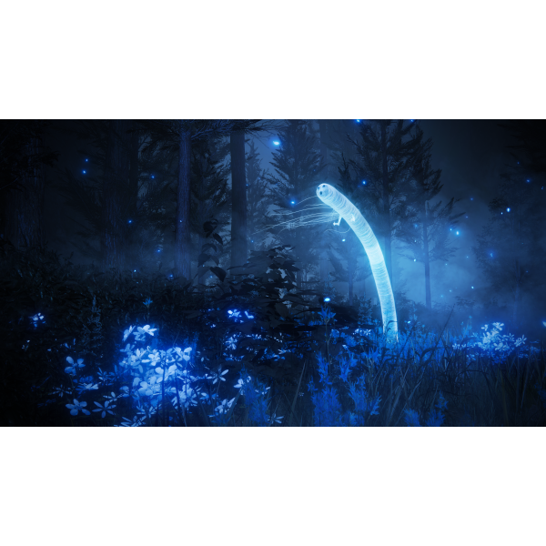 Фото - Игровой диск PS5 Elden Ring Shadow of the Erdtree Edition