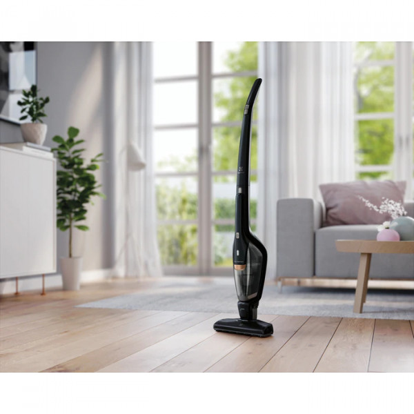 Фото - Пилосос ручний для дому Electrolux EERC73EB