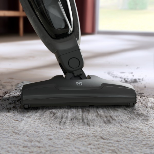 Фото - Пилосос ручний для дому Electrolux ES31CB18GG