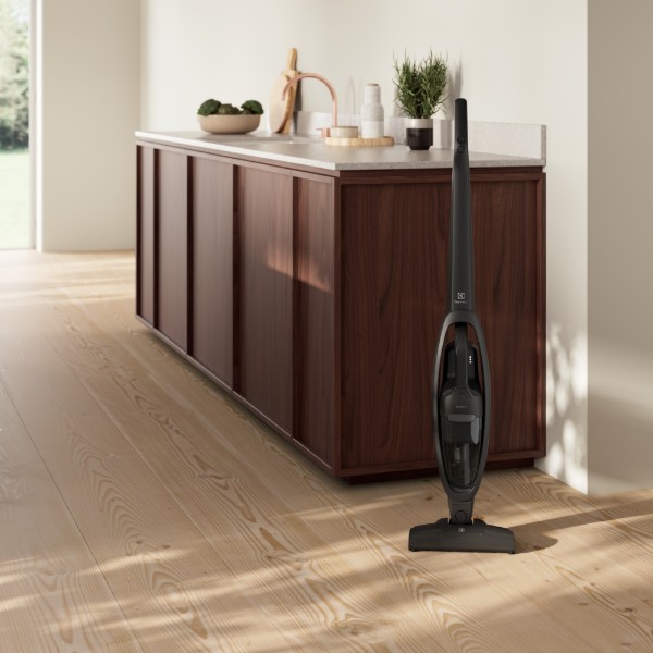 Фото - Пилосос ручний для дому Electrolux ES31CB18GG