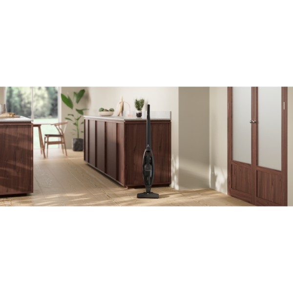 Фото - Пилосос ручний для дому Electrolux ES31CB18GG