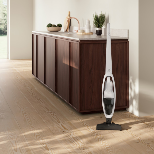 Фото - Пылесос ручной для дома Electrolux ES31CB18SH