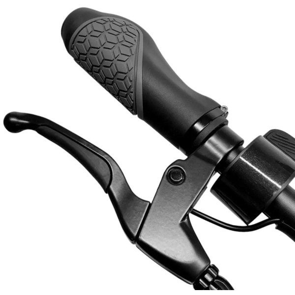 Фото - Електросамокат Forte E9GS