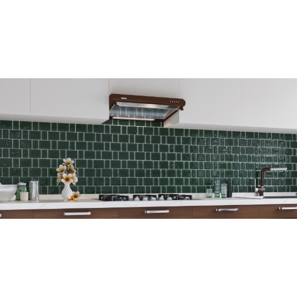 Фото - Вытяжка традиционная ELEYUS City 50 BR