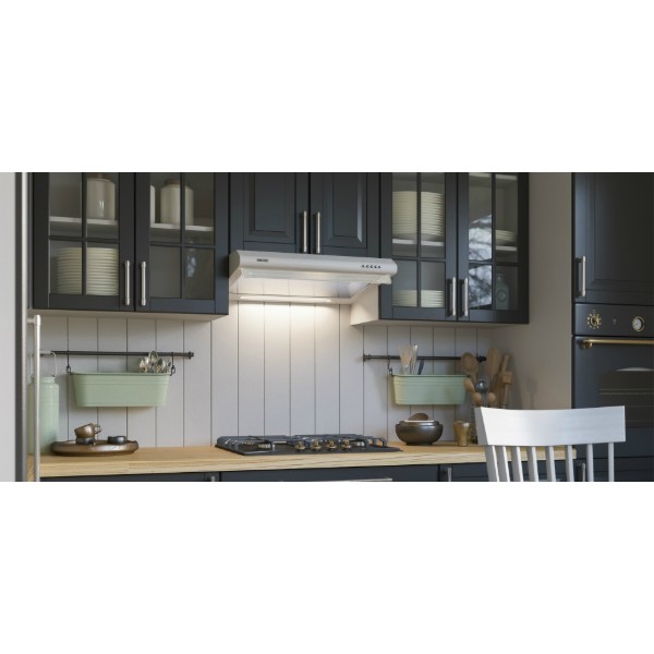 Фото - Вытяжка традиционная ELEYUS City 50 WH