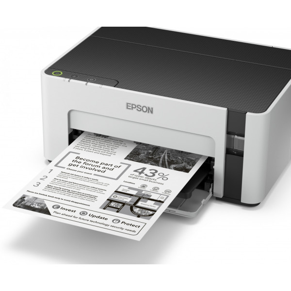 Фото - Принтер для ч/б печати Epson M1100 (C11CG95405)