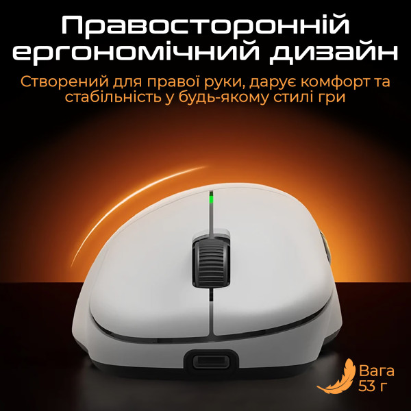 Фото - Миша бездротова ігрова RAWM ER21.black