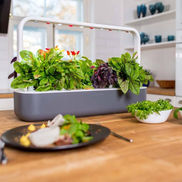 Фото - Розумний квітковий горщик Click&Grow Стартовий набір сірий 8899 SG9