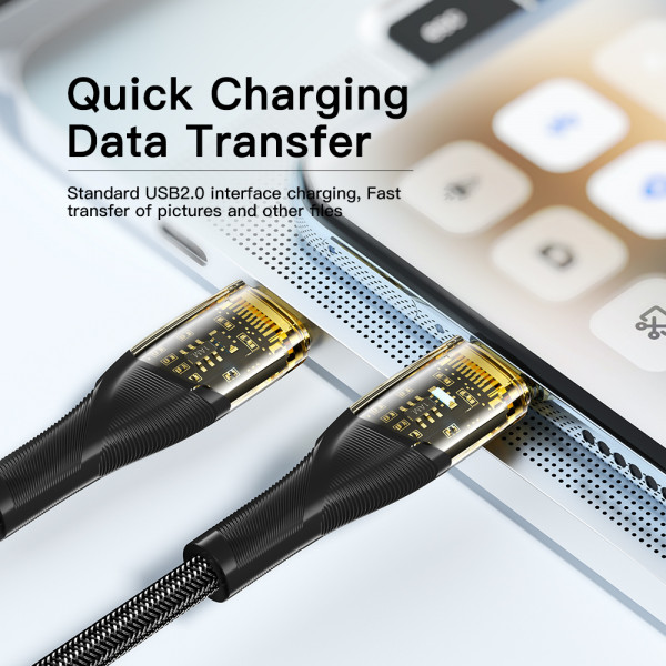 Фото - Кабель Essager Interstellar Transparent Design USB Charging Cable Type C to Type C 100W 2m Black (EXCTT1-XJA01-P)