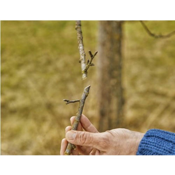 Фото - Секатор Gardena ExpertCut 22 мм (12203-20.000.00)