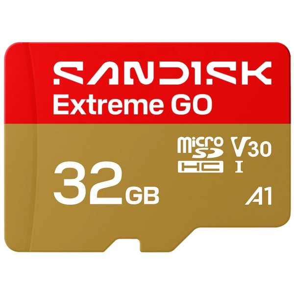 Фото - Карта памяти SanDisk Extreme GO SDHC 32GB UHS-I V30 A2 (SDSQXGN-032G-GN6MN)