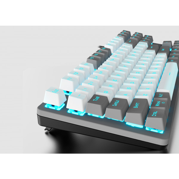 Фото - Клавиатура проводная игровая Aula Mechanical F3287 Grey/White keycap KRGD Blue (6948391240954)