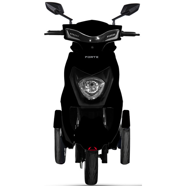 Фото - Електроскутер Forte HAWK MAXI Black + 2 кут. кріплення + пласт. номер (149838)