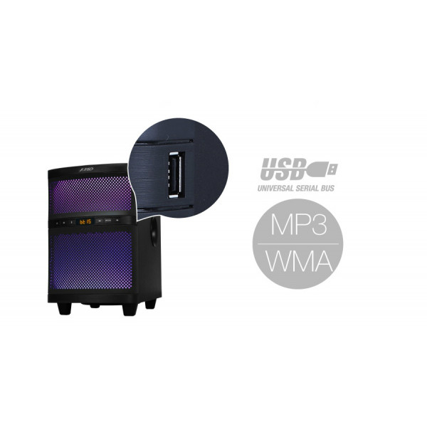 Фото - Комп'ютерна акустика 2.1 F&D T-200X Black