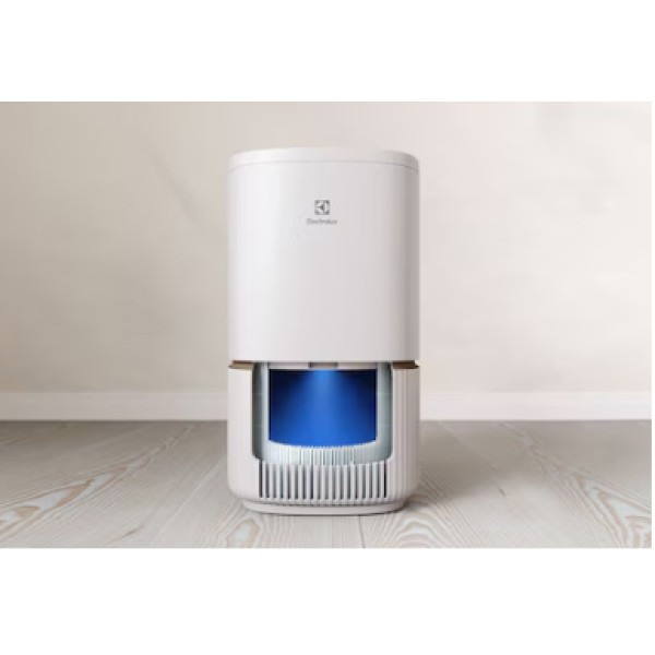 Фото - Фільтр до очищувача повітря Electrolux EFFBTH2