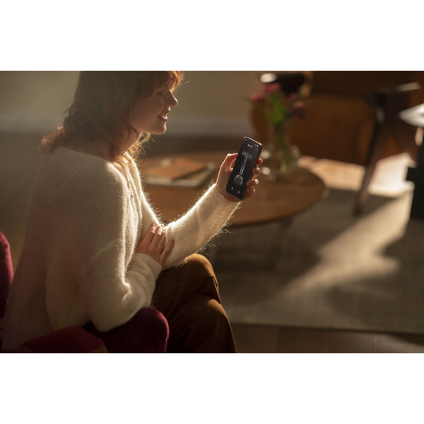 Фото - Пылесос ручной моющий RoboRock F25 ACE