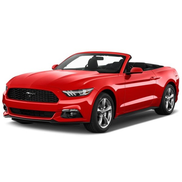 Фото - EVA коврик в багажник авто EVAtech для Mustang (S550) Ford 2015-2023 6 поколение Cabrio USA (FD14301BO1RBB)