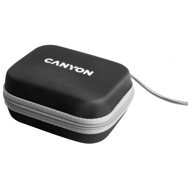Фото - Бездротовий зарядний пристрій Canyon WS-305 3 в 1 QI Black (CNS-WCS305B)