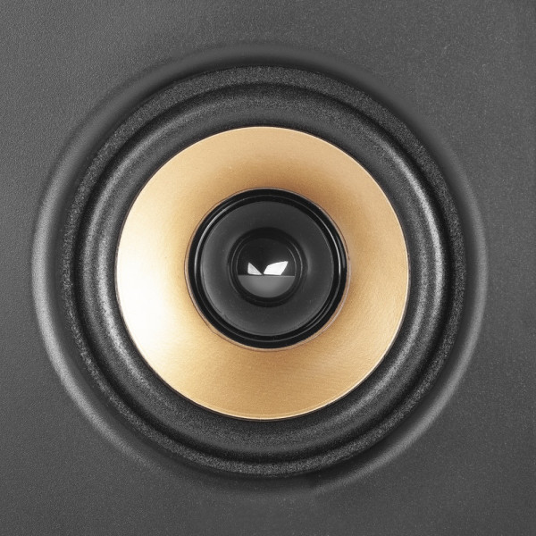 Фото - Комп'ютерна акустика 2.1 F&D F770X Вlack