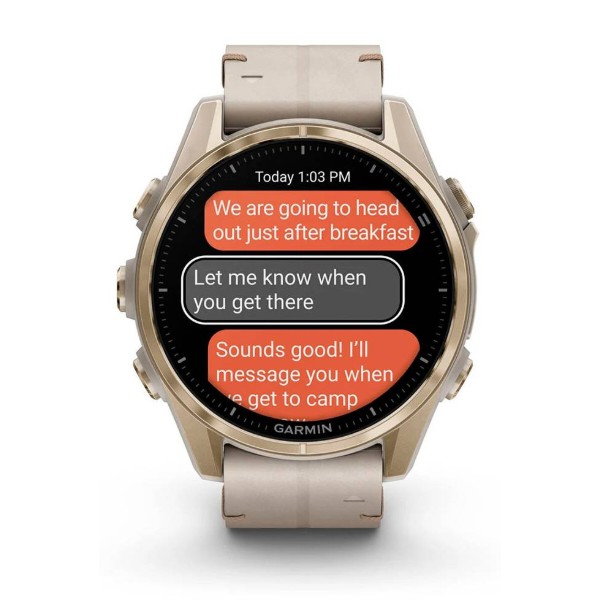 Фото - Смарт-часы Garmin fenix 8 43mm AMOLED (010-02903-40)