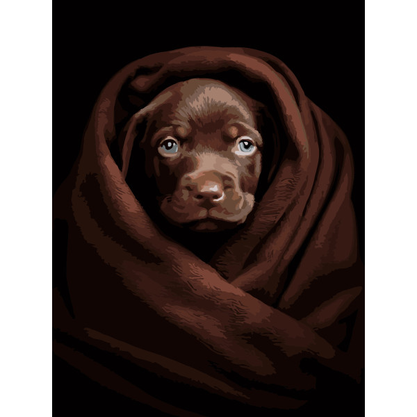 Фото - Картина за номерами Strateg Песик у пледі на чорному фоні 30х40 (FH-26)