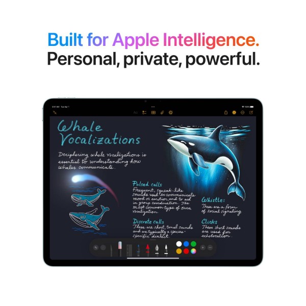 Фото - Планшет Apple iPad Air 13'' (M3) Cellular 1TB (MCJE4) Space Gray