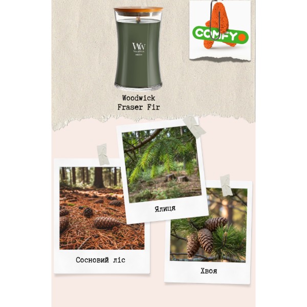 Фото - Свеча стекло Woodwick Mini Frasier Fir (Пихта Фразера) 85г (98175E)