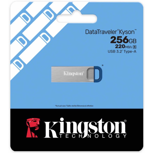 Фото - Флеш USB Kingston 256GB USB 3.2 Type-A Gen1 DT Kyson R220MB/s (DTKNG2/256GB)