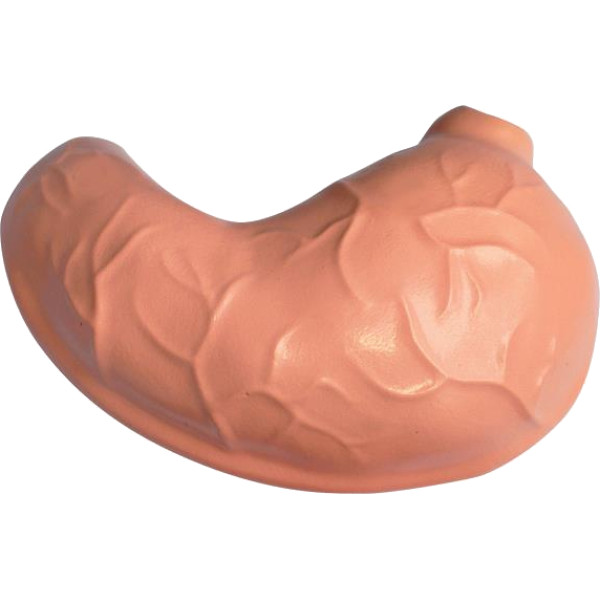 Фото - Набір для дослідження 4D Master Горила (FM-622012)