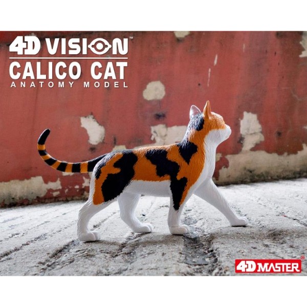 Фото - Набор для исследования 4D Master Кот (FM-622040)