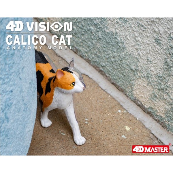 Фото - Набор для исследования 4D Master Кот (FM-622040)