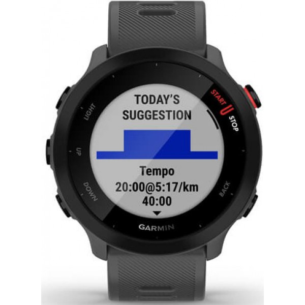 Фото - Смарт-часы Garmin Forerunner 55 Monterra Grey (010-02562-13)