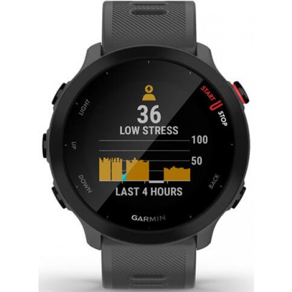 Фото - Смарт-часы Garmin Forerunner 55 Monterra Grey (010-02562-13)
