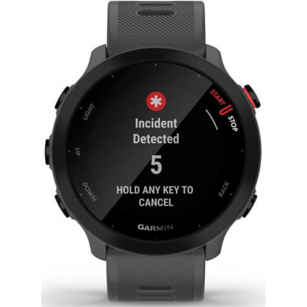 Фото - Смарт-часы Garmin Forerunner 55 Monterra Grey (010-02562-13)