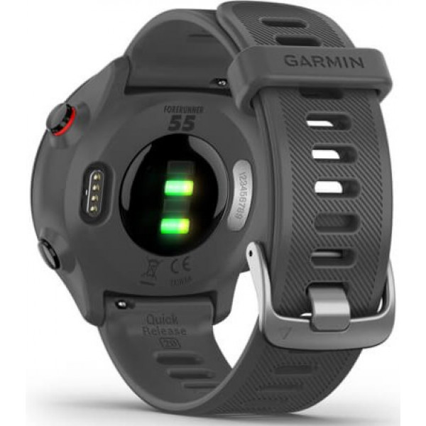 Фото - Смарт-часы Garmin Forerunner 55 Monterra Grey (010-02562-13)