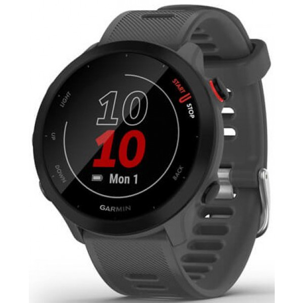 Фото - Смарт-часы Garmin Forerunner 55 Monterra Grey (010-02562-13)