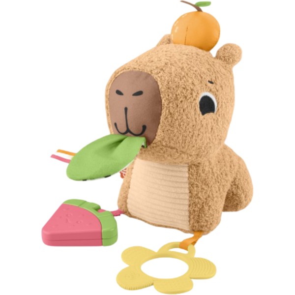 Фото - Интерактивная игрушка Fisher-Price Капибара (HYR54)