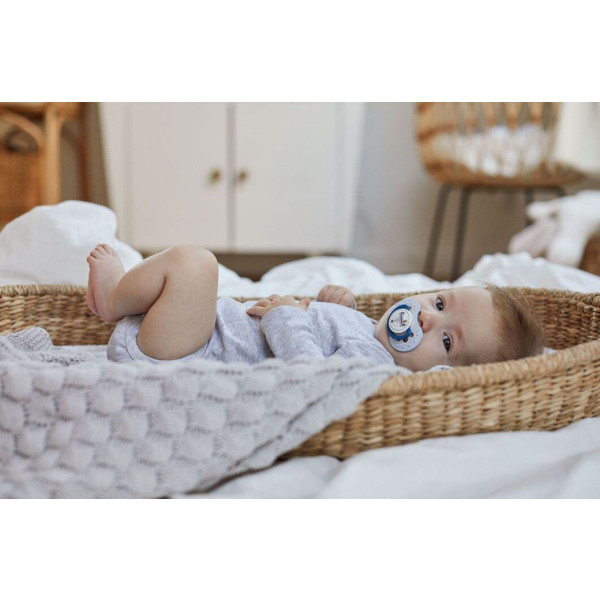 Фото - Динамічна пустушка Lovi 3-6 м-ців 2 шт. Indian summer (22/856boy)