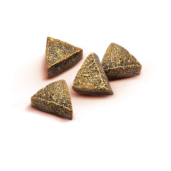 Фото - Ласощі для собак Brit Care Functional Snack Snack Antiparasitic Salmon напіввологі антипаразитарний ефект лосось 150 г (8595602540013)