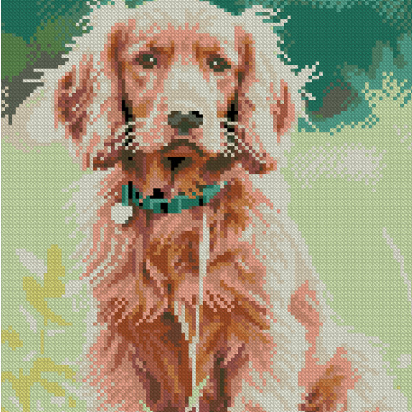 Фото - Алмазная живопись Strateg Золотой спаниель 30х30 (FZ3030-45)